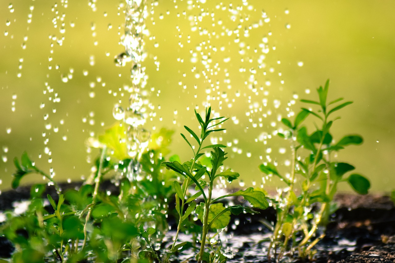 drop-of-water-2342870_1280